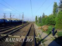 Imagine atasata: IMG_2313.JPG